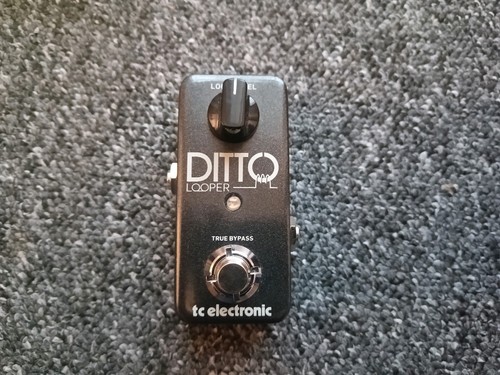 Electronic ditto looper - tc,