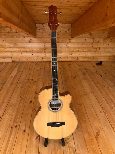 Bassgitarre akustik und - bassgitarre,